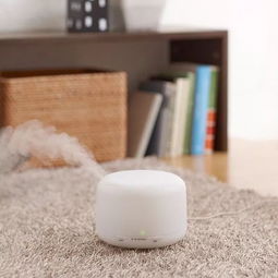 冬季護(hù)膚學(xué)會這幾招，你也能像貝克漢姆一樣逆生長